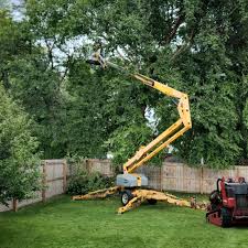  Junction, TX Tree Services Pros